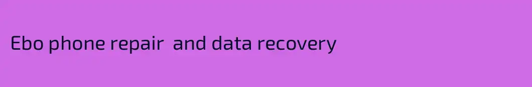 Ebo phone repair  and data recovery 